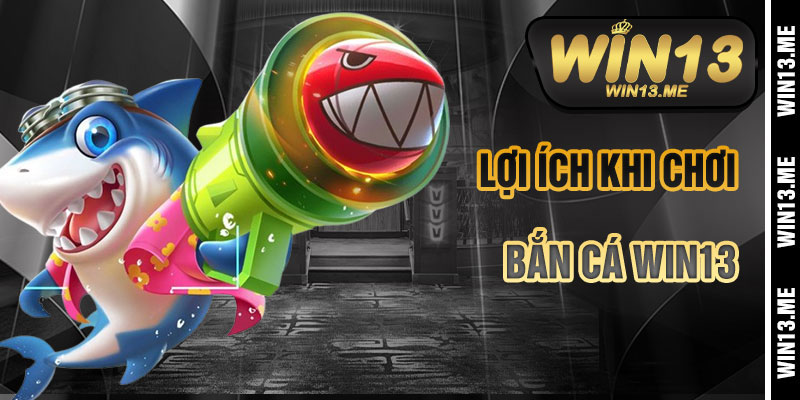 Lợi Ích Khi Chơi Bắn Cá Win13