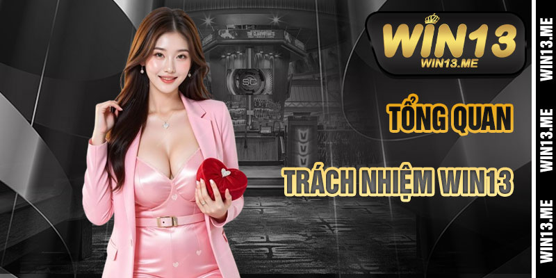 Tổng Quan Về Miễn Trừ Trách Nhiệm Win13
