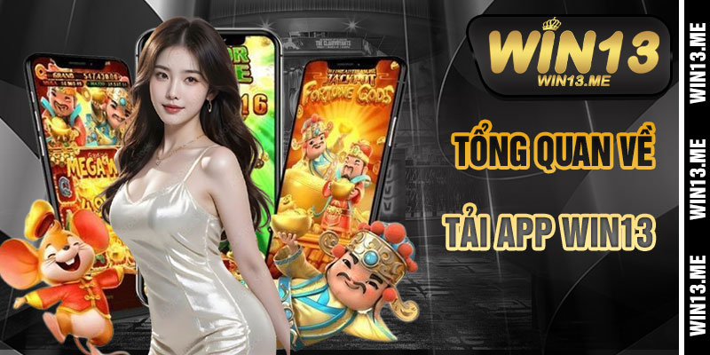 Tổng Quan Về Tải App Win13