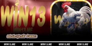 Đá Gà Cựa Sắt Ở Win13