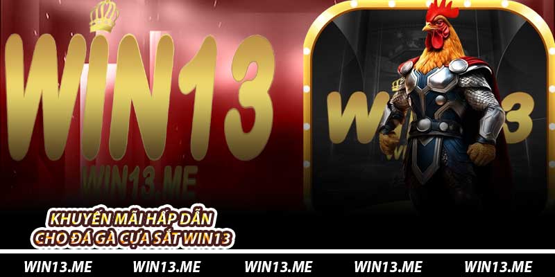 Khuyến mãi hấp dẫn cho Đá Gà Cựa Sắt Win13