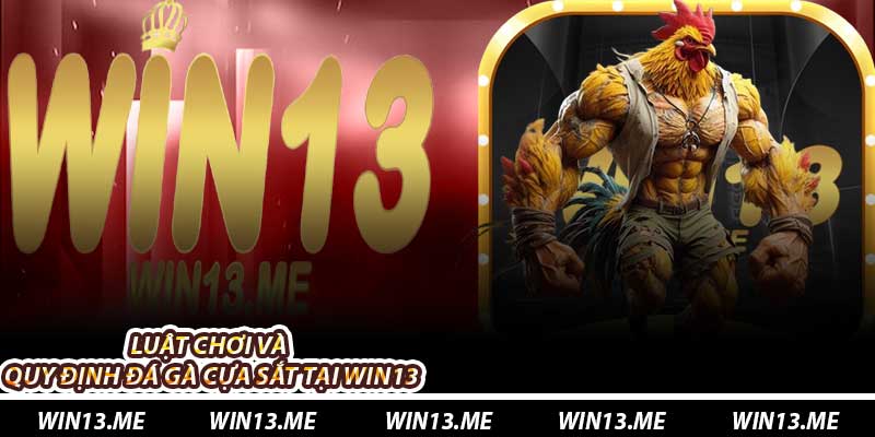 Luật chơi và quy định Đá Gà Cựa Sắt tại Win13