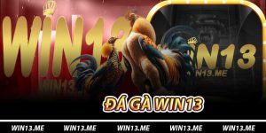 Đá Gà Win13