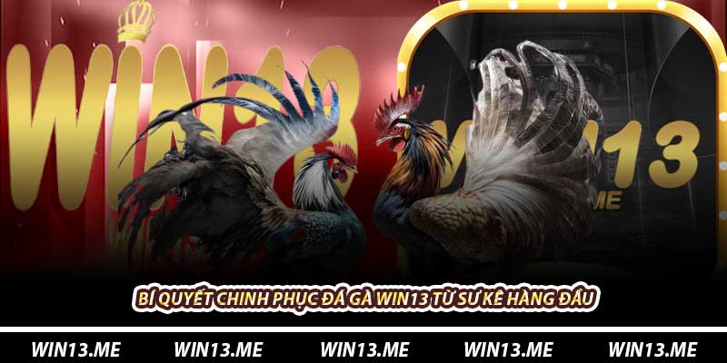 Bí quyết chinh phục Đá Gà Win13 từ sư kê hàng đầu